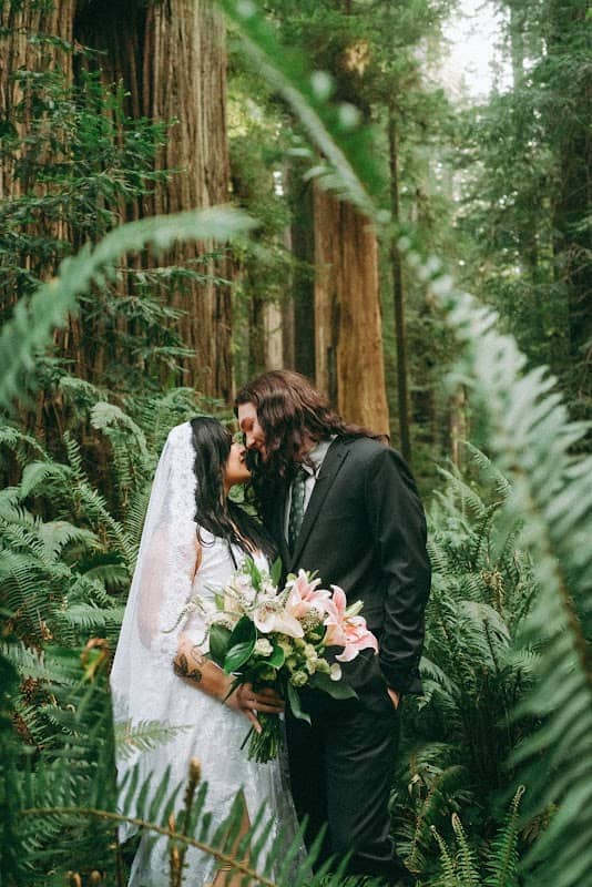 Hazel Eye Photography Pacific Northwest & Redwoods - Image 2