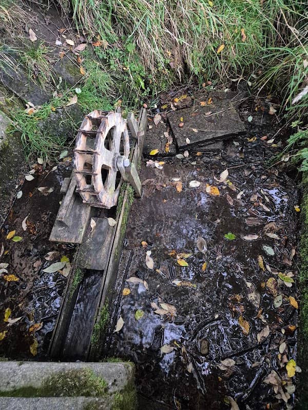 Zum Wasserrad - Image 3