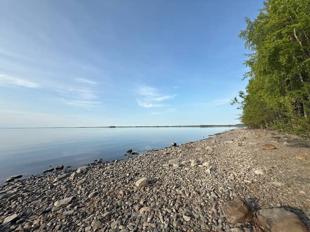 Vuoniemi Nature Reserve - Image 1