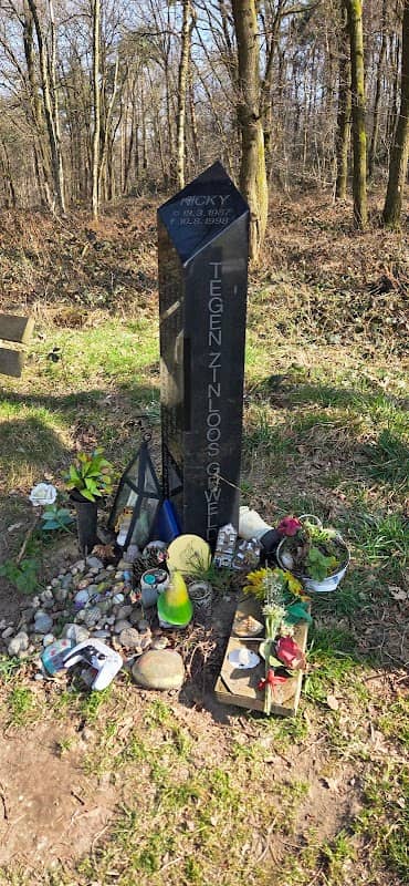 Monument Nicky Verstappen - Image 2