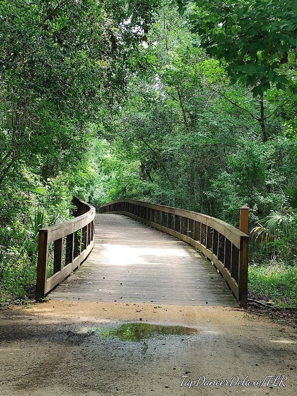 Graham Swamp East Trailhead MTB - Image 1