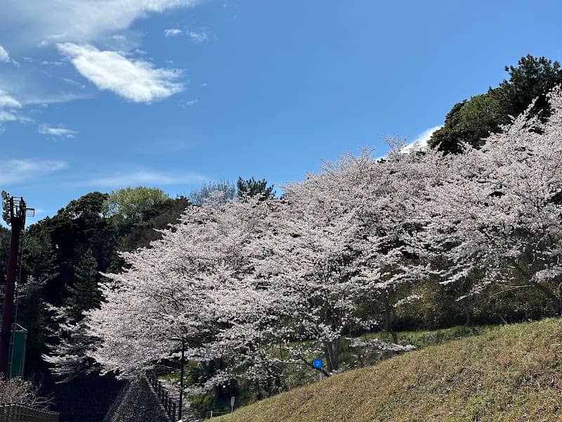 Kawage Chominnomori Park - Image 3