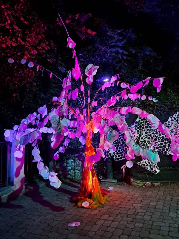 Moon Festival - Image 1