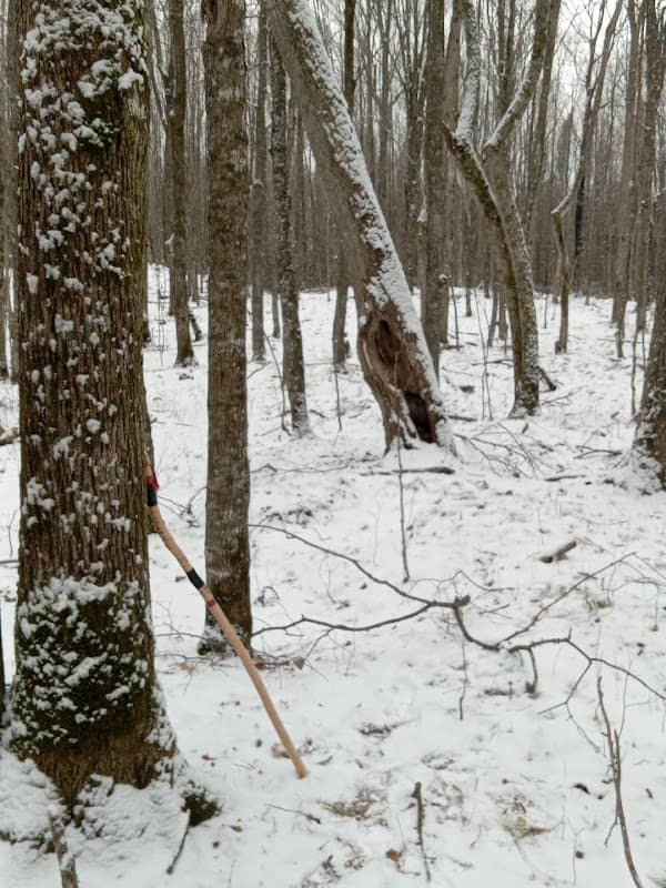 Porcupine Den - Image 1