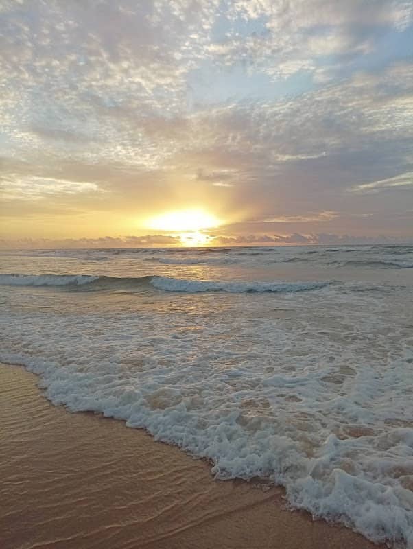 Malika Beach. - Image 1