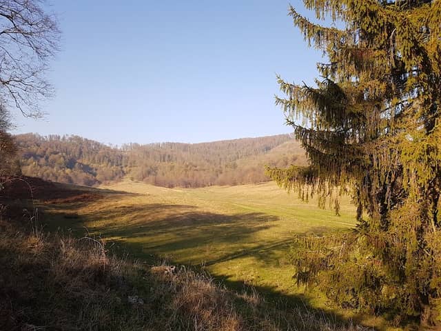 Platoul carstic Tinoasa - Image 1
