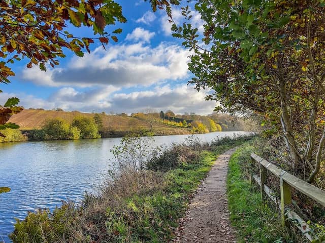 Ulley Country Park - Image 1