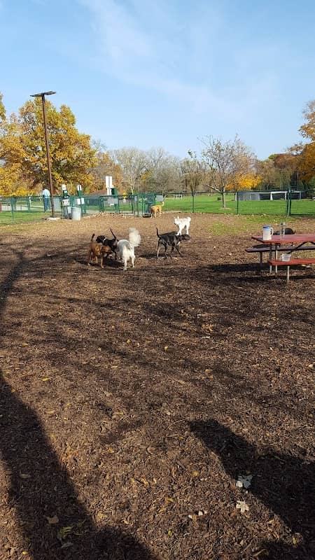 Carlisle Family Dog Park - Image 1