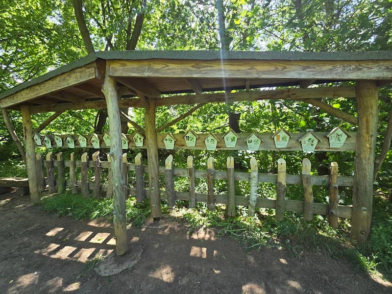 Entdeckerstation Natur - Image 2