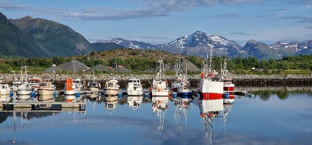 Laukvik Harbor View - Image 2