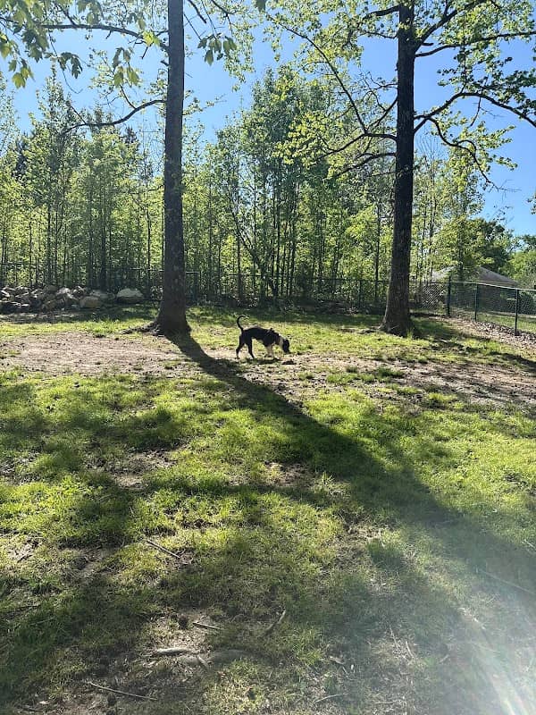 Locust Dog Park - Image 1