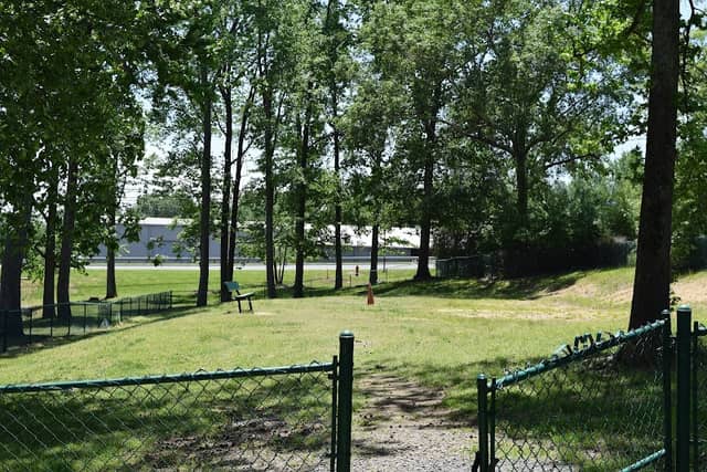 Locust Dog Park - Image 2