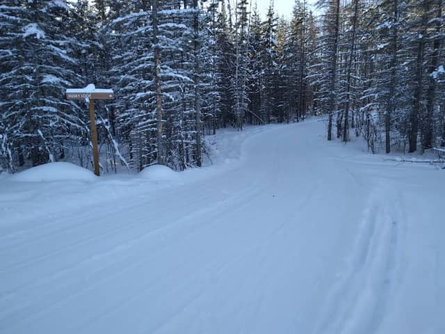 Redington Ski Trails - Image 1