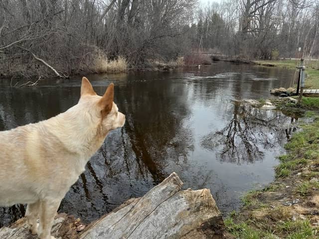 Minnie Farmer Park - Image 1