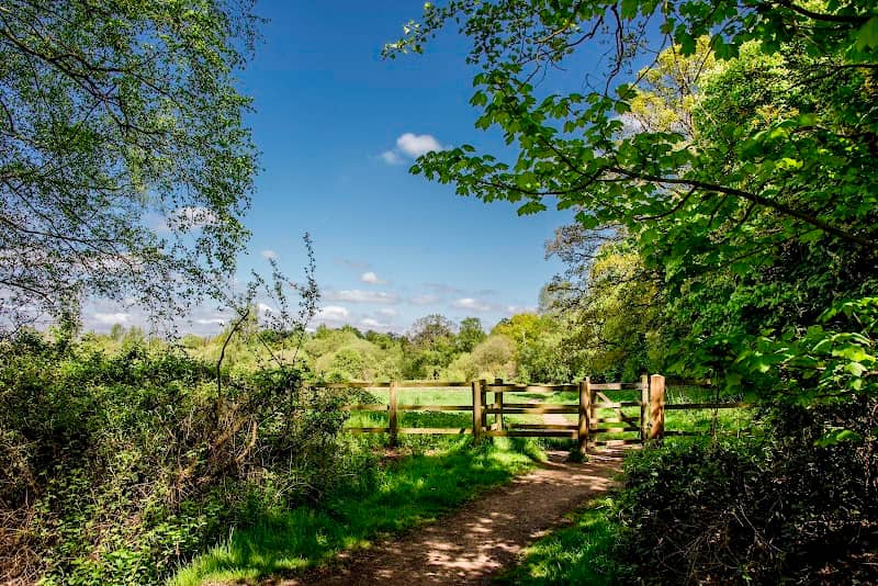 Rook's Nest Wood Country Park - Image 2