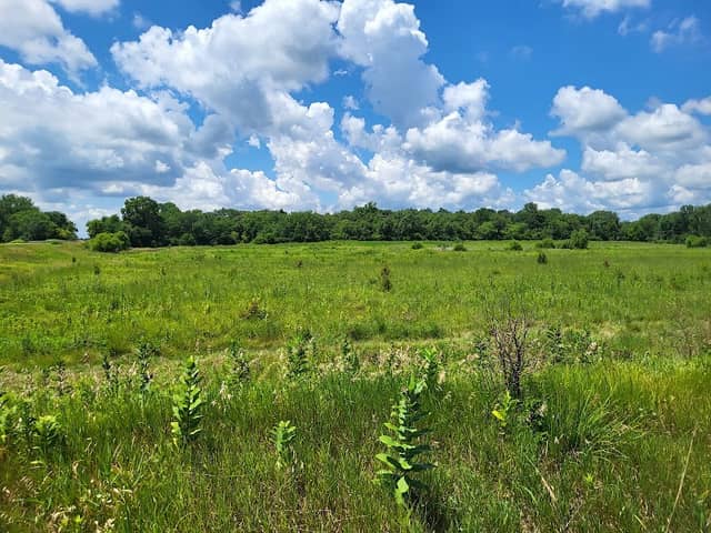 St. Joseph Wetland - Image 2