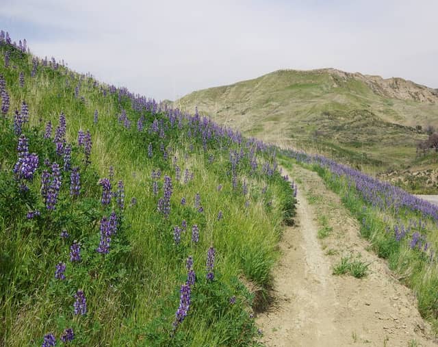 East Walker Ranch - Image 1