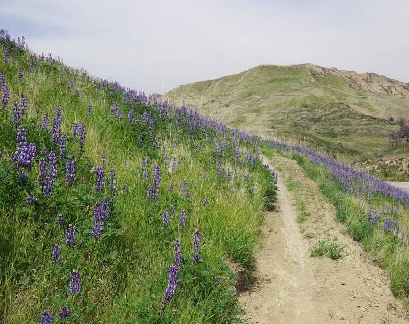 East Walker Ranch - Image 1