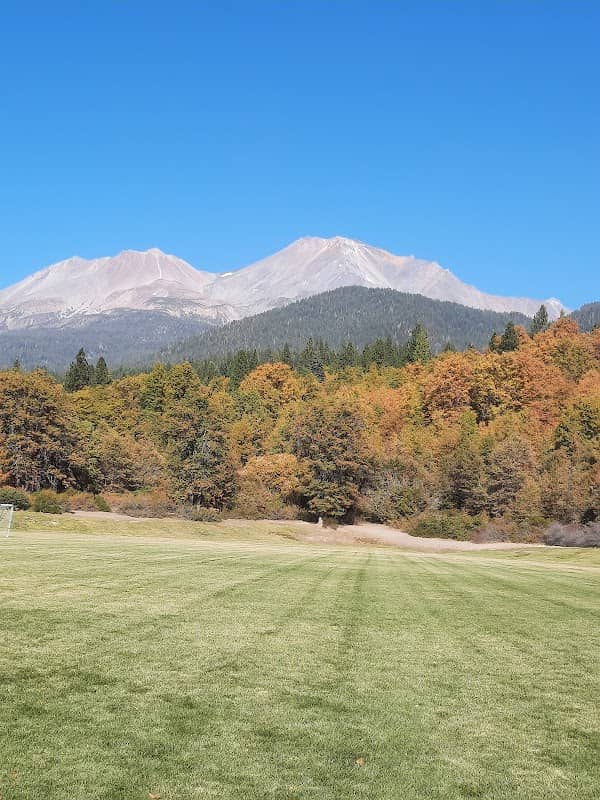 Shastice Park - Image 1