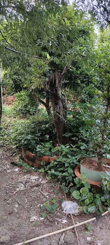 Hồ Gia Garden - Image 1