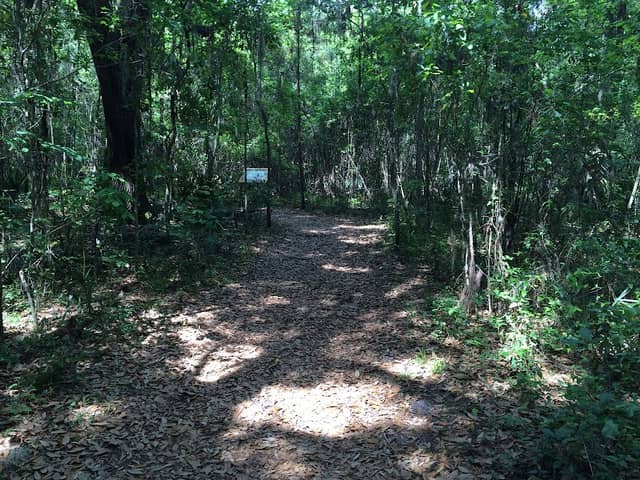 Cofrin Nature Park - Image 1