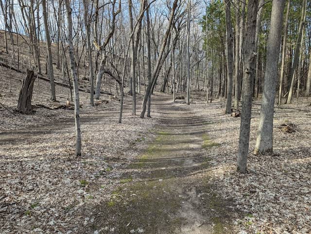 Fox Hill Nature Preserve - Nordic Trails - Image 1