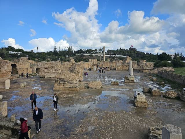Kings Service Tours - Image 1