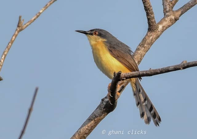 Nanmangalam Lake Bird Watching View Point - Image 1