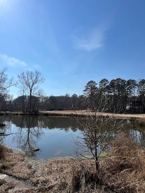 Milton City Park And Preserve - Image 2