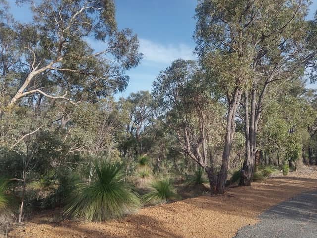 Greenmount Lookout - Image 3