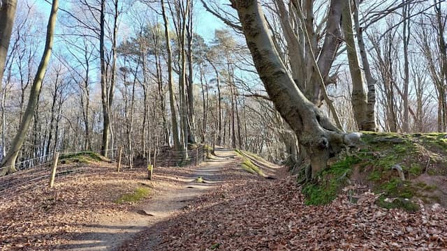 Holtbank (Nationaal Park Veluwezoom) - Image 1