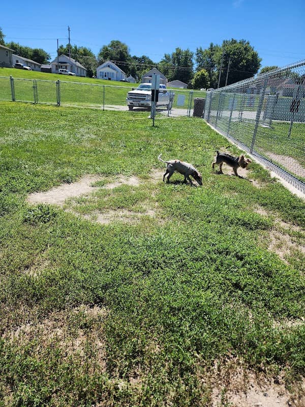 Paws and Pals Dog Park - Image 1