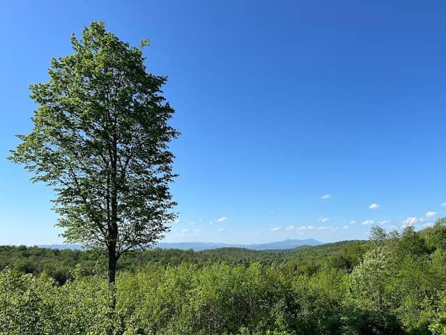 Anderson Vista - Image 3