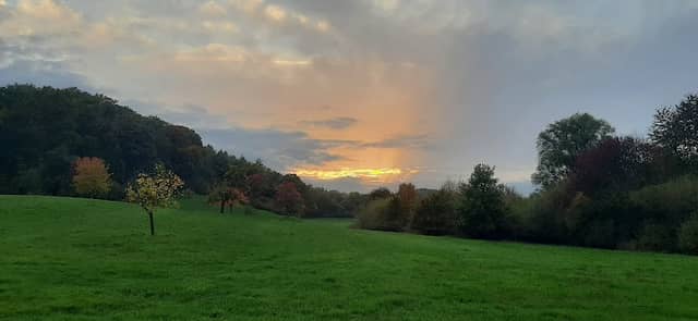 Waldweg - Image 1