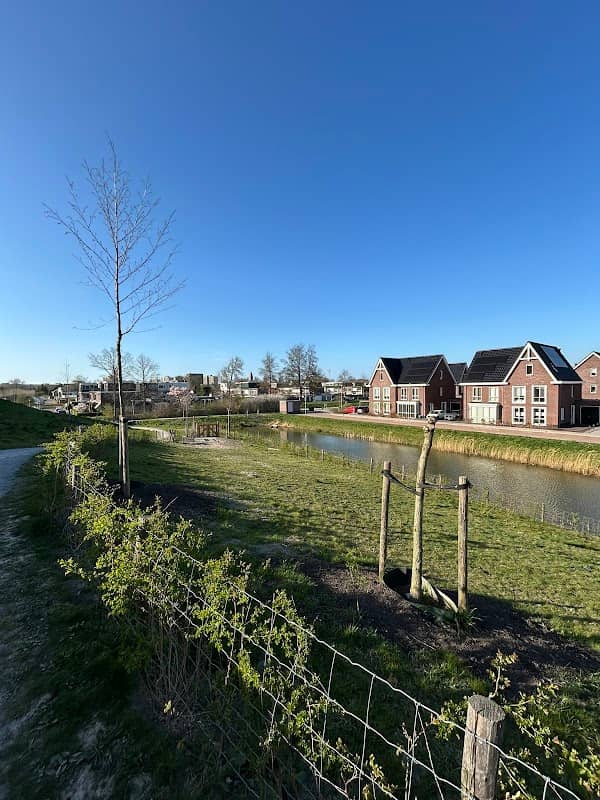 Hondenuitlaatterein - Image 1