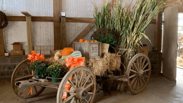 Lafollette Greenhouses & Farms - Image 1