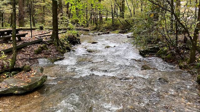 Andrews Cove Campground - Image 2