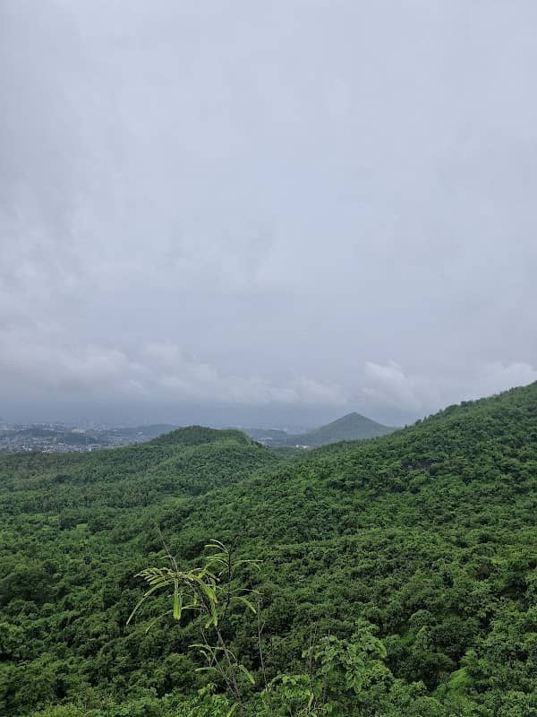 Bujadpada (बुजडपाडा) - Image 1