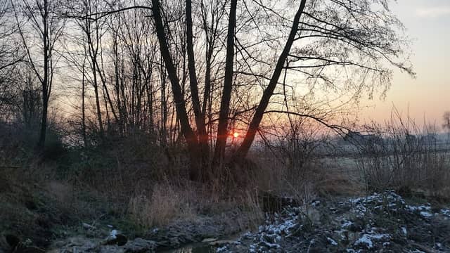 Erlengrund Park - Image 2