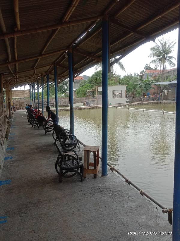 PEMANCINGAN GALATAMA LELE IBM FISHING - Image 2