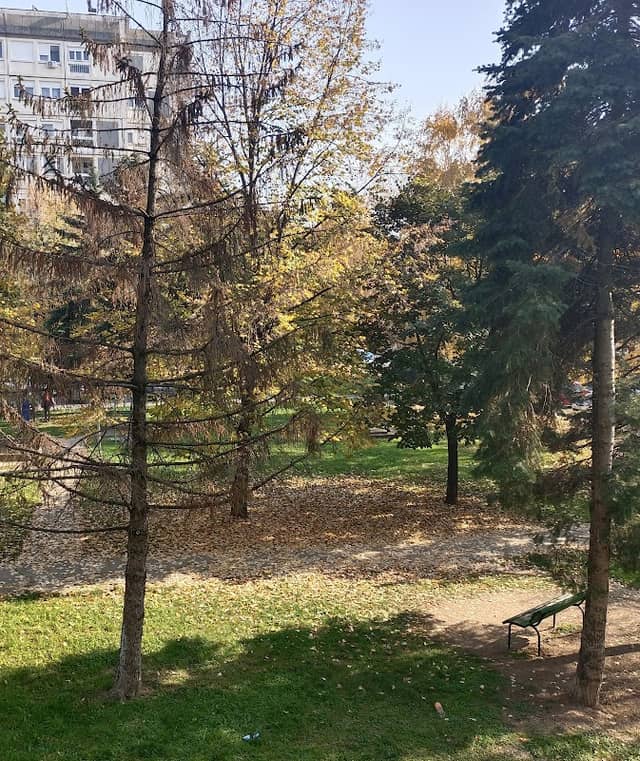 Dubočica Park - Image 1