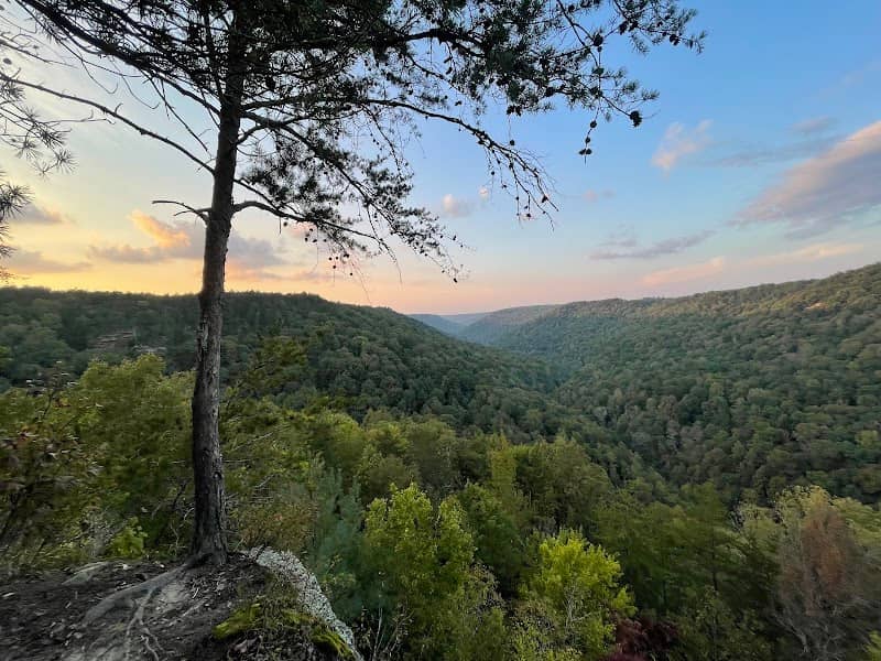 Savage Gulf State Park (South Trailhead) - Image 3
