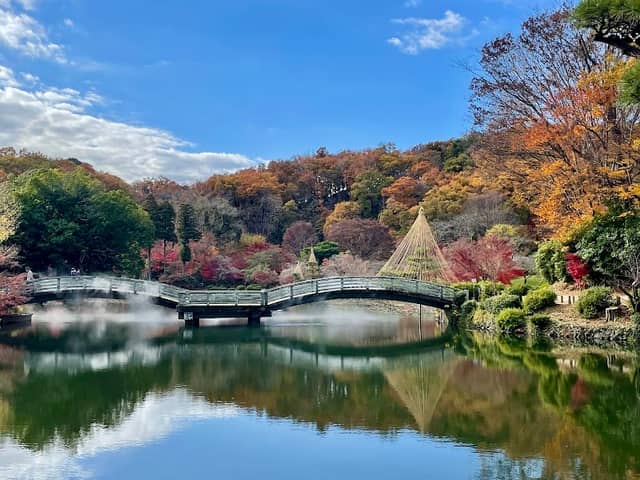 Yakushi Pond - Image 1