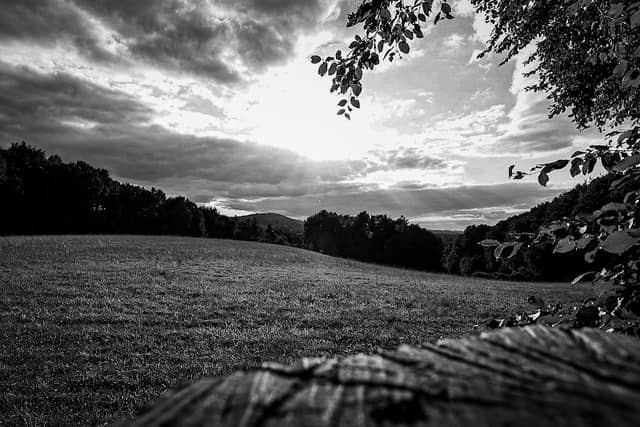 Schlepperwiese Nature Reserve - Image 2