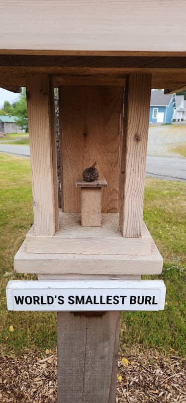 World's Smallest Burl - Image 1