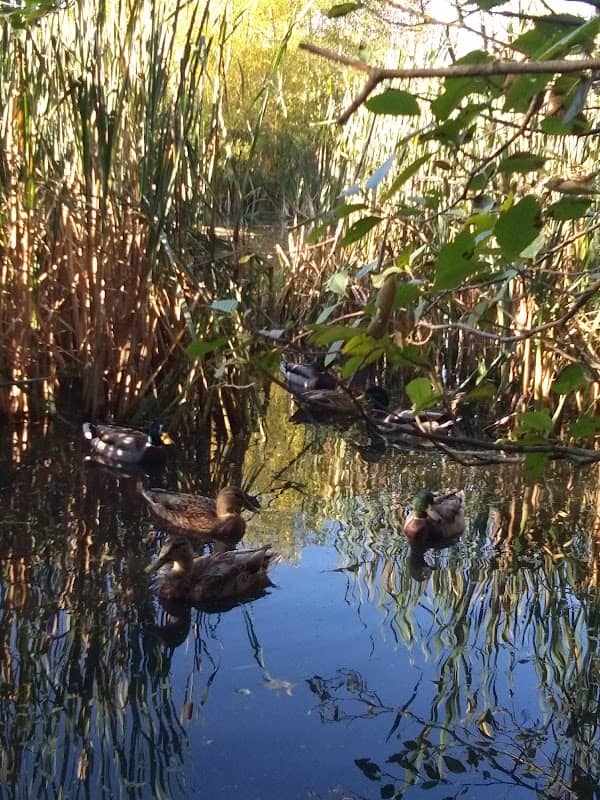 South Valley Park - Image 2