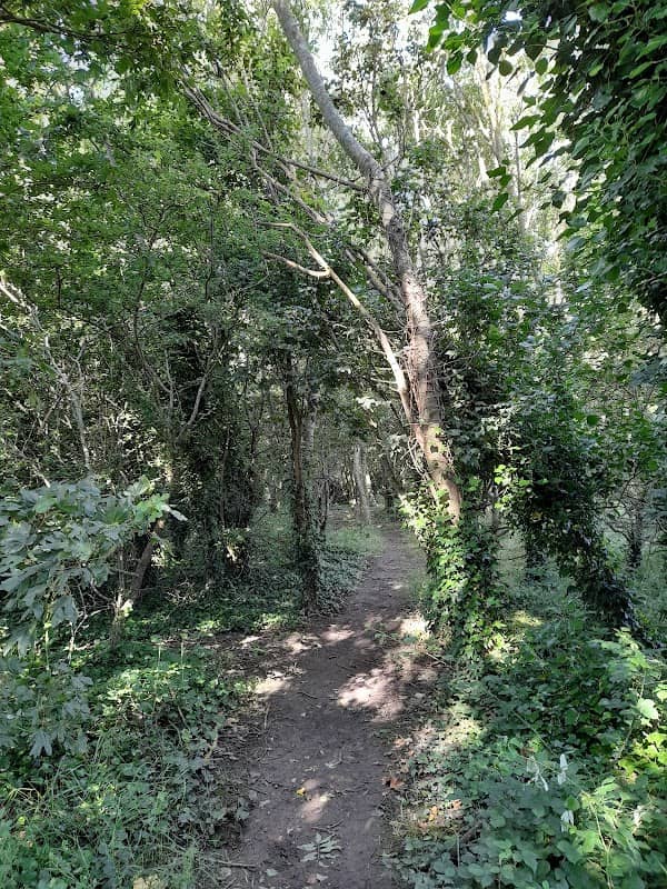 Bulverhythe Recreation Ground - Image 2