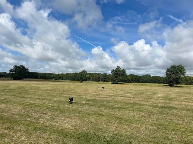 Bulverhythe Recreation Ground - Image 1