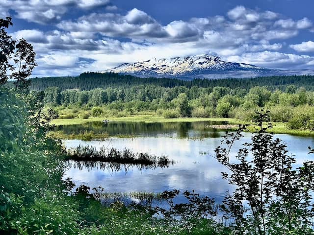 Trout Creek Meadow And Trails - Image 1