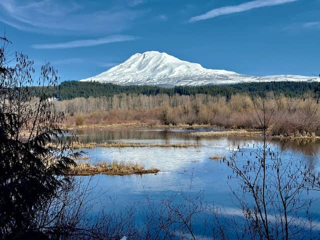 Trout Creek Meadow And Trails - Image 2
